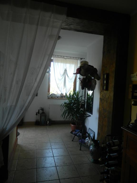 Pensiunea Romantic Sadu Exterior photo