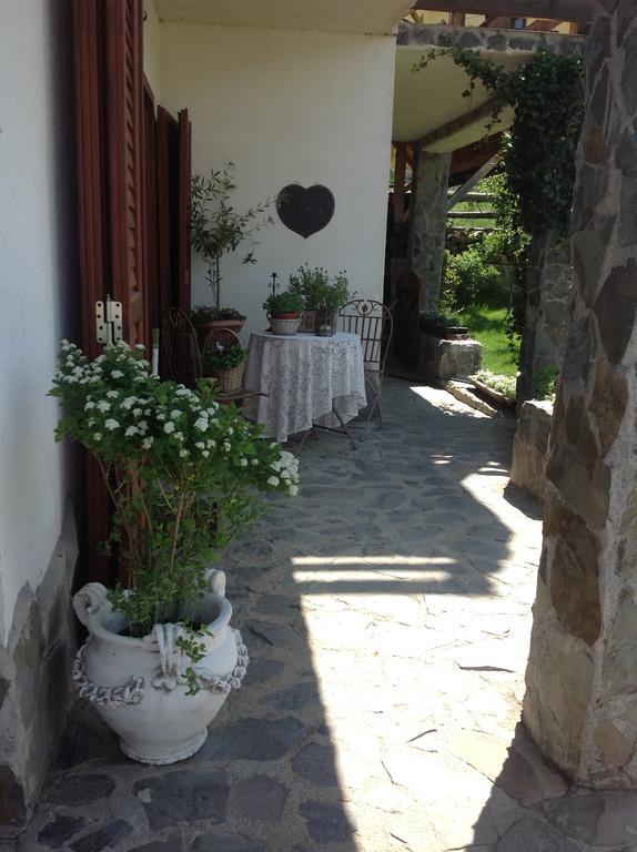 Pensiunea Romantic Sadu Exterior photo